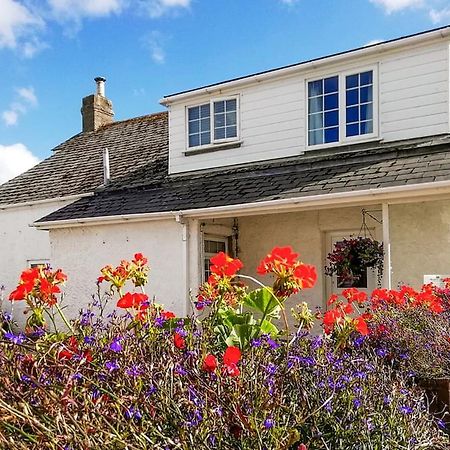 Meadow Lakes Holiday Park St Austell Eksteriør billede